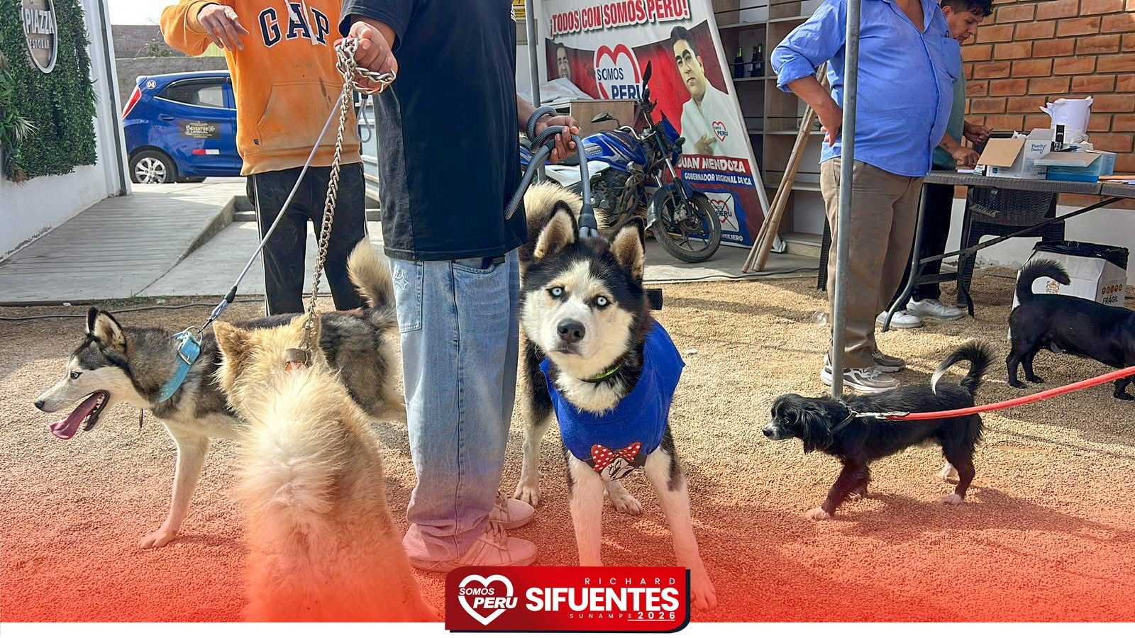 Campaña veterinaria para nuestras mascotas